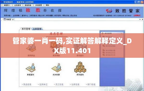 管家婆一肖一碼,實(shí)證解答解釋定義_DX版11.401