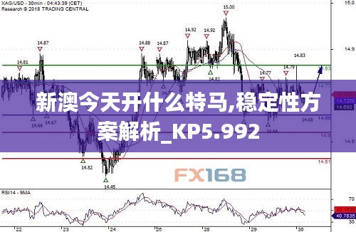 新澳今天開(kāi)什么特馬,穩(wěn)定性方案解析_KP5.992