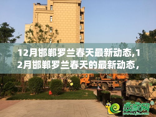揭秘12月邯鄲羅蘭春天最新動(dòng)態(tài)，三大看點(diǎn)一覽無余