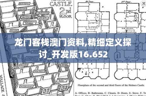 龍門客棧澳門資料,精細定義探討_開發(fā)版16.652