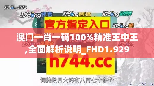 澳門一肖一碼100%精準(zhǔn)王中王,全面解析說明_FHD1.929
