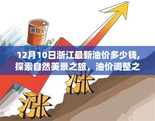 浙江油價調(diào)整日，寧靜之旅探尋自然美景，油價與美景的雙重體驗