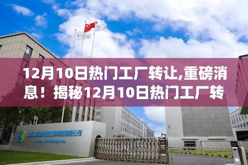 揭秘，12月10日工廠轉(zhuǎn)讓背后的三大要點及重磅消息曝光！