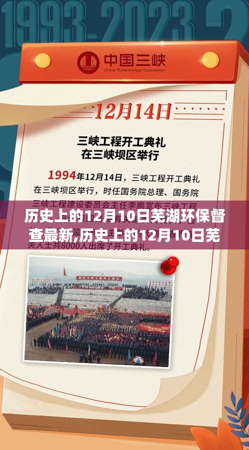 歷史上的12月10日蕪湖環(huán)保督查進(jìn)展及應(yīng)對(duì)指南，最新動(dòng)態(tài)與應(yīng)對(duì)步驟揭秘