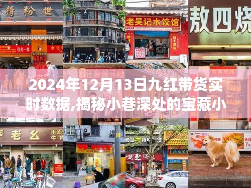 揭秘寶藏小店背后的故事，九紅帶貨實時數(shù)據(jù)解析與消費盛宴體驗