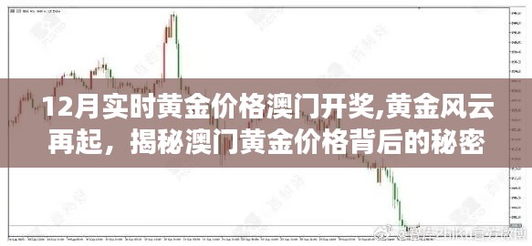 揭秘黃金風云背后的秘密，澳門黃金價格的犯罪真相與犯罪問題探討