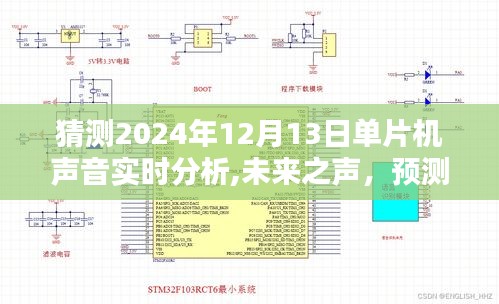 2024年單片機(jī)聲音實(shí)時(shí)分析技術(shù)革新與前景展望