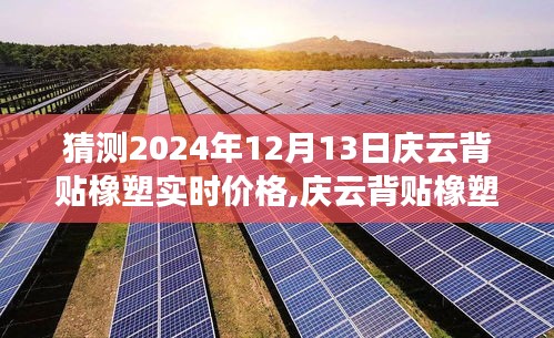 慶云背貼橡塑最新行情預(yù)測，聚焦2024年12月13日的行業(yè)洞察與價格預(yù)測分析