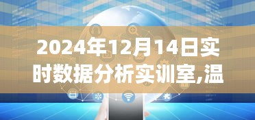 數(shù)據(jù)分析實訓室里的快樂時光，溫馨角落的實時數(shù)據(jù)探索（2024年12月14日）