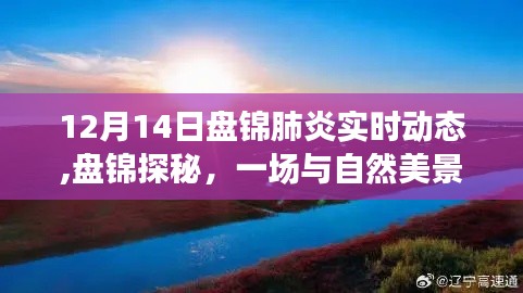 盤(pán)錦肺炎實(shí)時(shí)動(dòng)態(tài)與冬日自然美景探秘，追尋內(nèi)心的寧?kù)o與平和