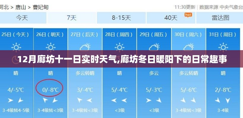 廊坊十二月份十一日實(shí)時天氣，冬日暖陽下的日常趣事