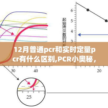 普通PCR與實時定量PCR的奇妙差異，揭秘PCR小奧秘的旅程