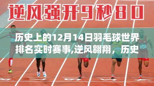 歷史上的羽毛球巔峰對決，逆風(fēng)翱翔背后的故事，回顧十二月十四日世界排名實時賽事