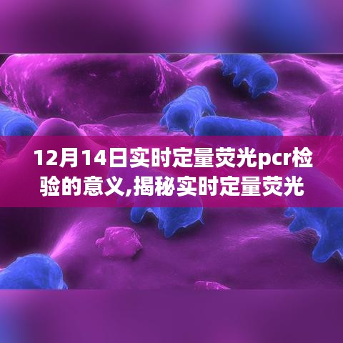 揭秘實時定量熒光PCR檢驗，在醫(yī)學(xué)診斷中的科學(xué)意義與重要性（12月14日）