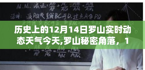 羅山秘密角落美食之旅，探尋12月14日獨特天氣下的驚喜美食與實時動態(tài)天氣體驗