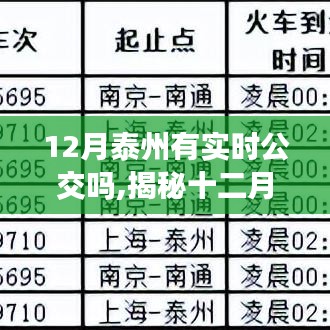 揭秘十二月泰州實(shí)時(shí)公交系統(tǒng)，便捷出行，實(shí)時(shí)掌握