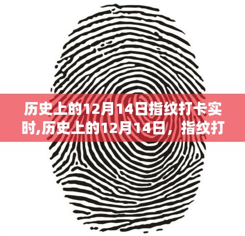 指紋打卡技術(shù)的演變之旅，歷史上的十二月十四日回顧與實(shí)時(shí)發(fā)展觀察