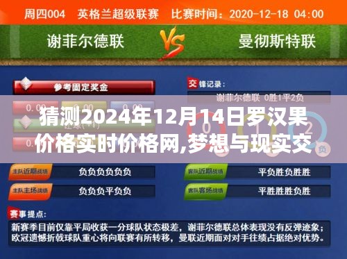 勵志之旅，預(yù)測羅漢果價(jià)格實(shí)時(shí)走勢，夢想與現(xiàn)實(shí)交匯于2024年12月14日羅漢果價(jià)格網(wǎng)