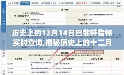 揭秘巴菲特指標(biāo)的實(shí)時(shí)查詢(xún)之旅，歷史上的十二月十四日回顧
