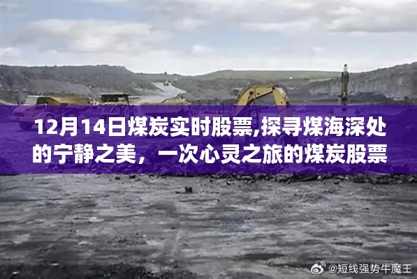 探尋煤海深處的寧?kù)o之美，煤炭股票的心靈之旅（實(shí)時(shí)行情分析）
