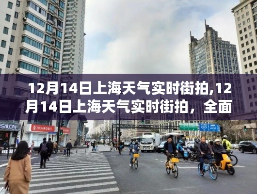 12月14日上海天氣實時街拍，全面評測與深度介紹