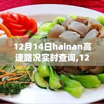 12月14日海南高速實時路況查詢，實時信息的重要性及其影響力解析