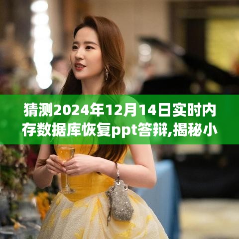 揭秘小巷深處的寶藏，特色內(nèi)存數(shù)據(jù)庫恢復(fù)PPT答辯體驗館在2024年展望與展望的答辯分享