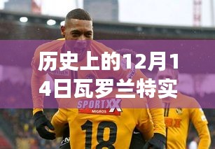 歷史上的12月14日瓦羅蘭特實(shí)時商店詳解，入門指南與操作教程