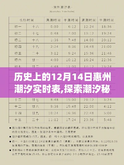 歷史上的12月14日惠州潮汐之旅，潮汐實(shí)時(shí)表與內(nèi)心的寧?kù)o探索