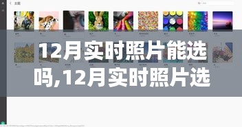 祖道供張 第4頁(yè)