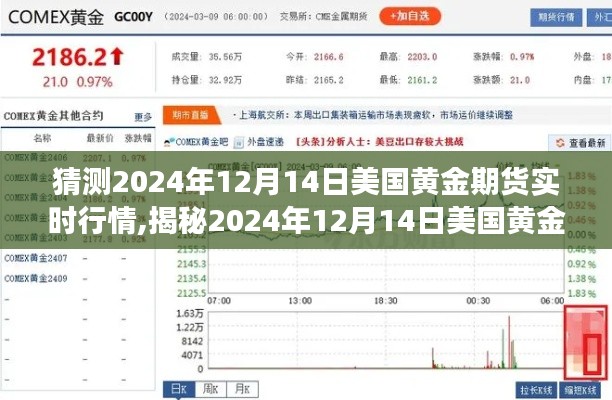 2024年12月14日美國黃金期貨行情預(yù)測與實(shí)時(shí)市場動(dòng)態(tài)解析，洞悉市場動(dòng)向揭秘未來走勢！