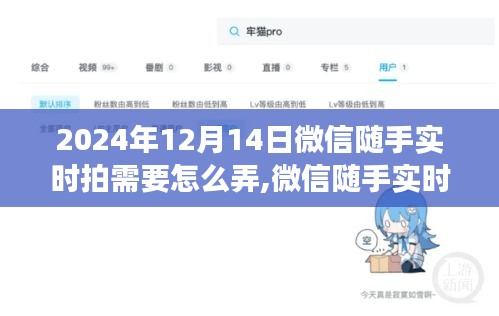 微信隨手實(shí)時(shí)拍功能使用指南（最新教程，適用于2024年12月）