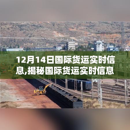 12月14日國際貨運(yùn)實(shí)時(shí)解析，全球物流動(dòng)態(tài)揭秘與洞悉之路