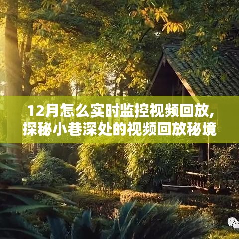 探秘小巷深處的視頻回放秘境，揭秘十二月實(shí)時(shí)監(jiān)控新體驗(yàn)