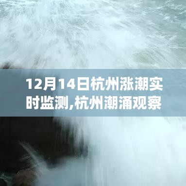 揭秘杭州潮涌背后的故事，十二月十四日漲潮實時監(jiān)測觀察報告