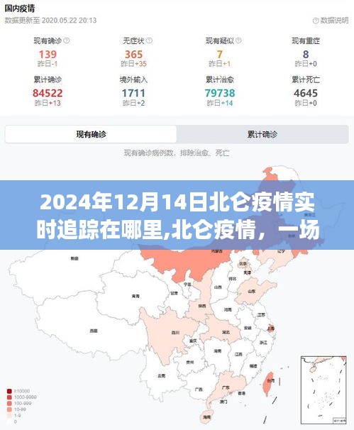 北侖疫情追蹤，透明管理與時(shí)代記憶交匯的歷程（2024年實(shí)時(shí)更新）