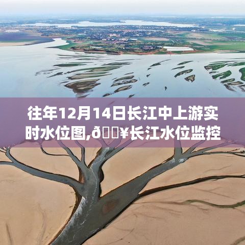 揭秘長(zhǎng)江中上游水位動(dòng)態(tài)，智能實(shí)時(shí)水位圖系統(tǒng)監(jiān)控新星，展示往年12月14日水位圖