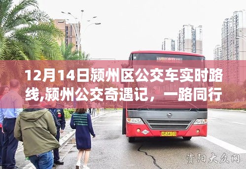 潁州公交奇遇記，冬日同行，公交路線的溫暖時(shí)光 12月14日實(shí)時(shí)更新