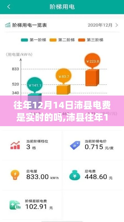 沛縣往年12月14日電費實時性深度解析，特性、體驗與競品對比