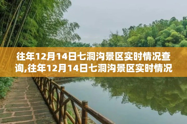 往年12月14日七洞溝景區(qū)實時情況回顧與體驗分享，景區(qū)游覽實況一覽無余！