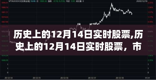 歷史上的12月14日實時股票解析，市場風(fēng)云三大看點揭秘