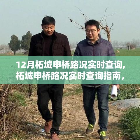 12月柘城申橋路況實時查詢指南，出行必備技能