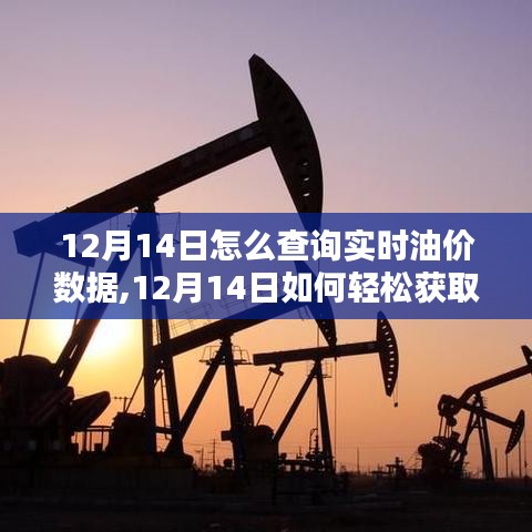 12月14日實時油價數(shù)據(jù)查詢指南，輕松獲取最新油價信息