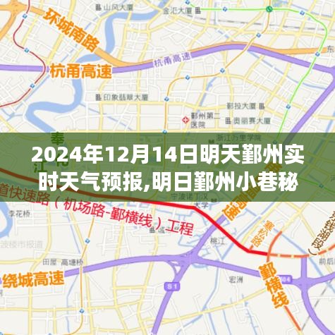 明日鄞州小巷秘境，天氣預(yù)報與美食的雙重驚喜（2024年12月14日）