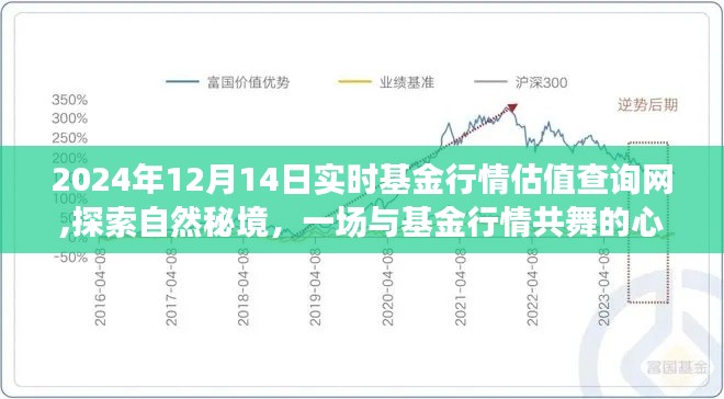 探索自然秘境的心靈之旅，實(shí)時(shí)基金行情估值查詢網(wǎng)，2024年12月14日