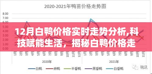 科技賦能生活，揭秘白鴨價格走勢背后的智能分析系統(tǒng)——最新白鴨價格實時走勢分析體驗報告