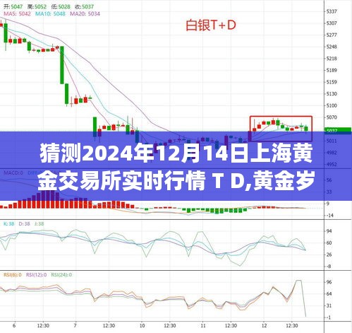 揭秘上海黃金交易所行情，黃金歲月與一家人的日常