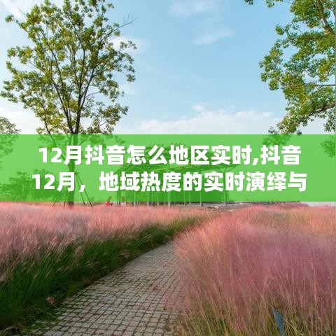 抖音12月地域熱度實時演繹，數(shù)字時代的印記與趨勢分析