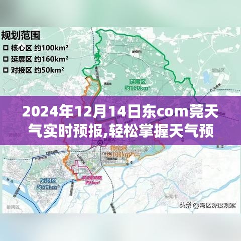 2024年12月14日東莞天氣預(yù)報，如何獲取并解讀實時天氣信息