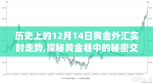 探秘黃金巷，歷史上的黃金外匯走勢(shì)與特色小店獨(dú)特魅力揭秘的實(shí)時(shí)走勢(shì)分析